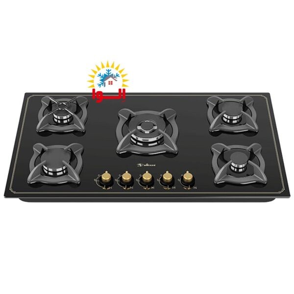 اجاق داتیس مدل DG-535